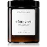 The Olphactory Forever Citrus & Shades Citrus Scented Candle, 135 g