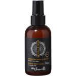 Helen Seward Argan Elisir 10in1 juuksesprei mask argaania&otilde;liga, 150ml