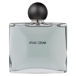 Jean Charles Brosseau Atlas Cedar Collection Homme EDT tualettvesi meestele, 100 ml