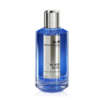 Mancera Silver Blue EDP l&otilde;hnastatud vesi unisex, 120 ml