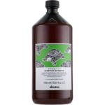 Davines Natural Tech Renewing Shampoo uuendav &scaron;ampoon, 1000 ml