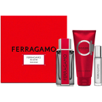 Ferragamo Ferragamo Red Leather komplekt meestele (EDP, 100 ml + &scaron;ampoon ja du&scaron;igeel, 100 ml + EDP, 10 ml)