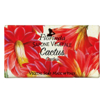 Florinda Cactus Vegan Cleansing & Hydrating Scented Soap Bar , 100 g