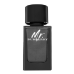 Burberry Mr. Burberry EDP l&otilde;hnastatud vesi meestele, 100 ml