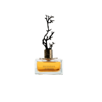 Aurora Deciduous Summer EDP l&otilde;hnastatud vesi naistele, 100 ml