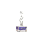 Aurora Deciduous Winter EDP l&otilde;hnastatud vesi naistele, 100 ml