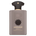 Amouage Opus V Woods Symphony EDP l&otilde;hnastatud vesi unisex, 100 ml