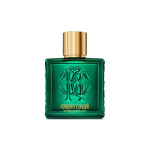 Roberto Cavalli Rc Uomo Verde Assoluto EDP l&otilde;hnastatud vesi meestele, 100 ml
