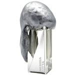 Filippo Sorcinelli Atmosphere d'Emotion Nebbia Fitta PP parf&uuml;&uuml;m unisex, 50 ml
