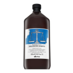 Davines NATURALTECH tasakaalustav &scaron;ampoon rasusele peanahale ja juustele, 1000 ml