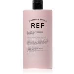REF Illuminate v&auml;rvi&scaron;ampoon v&auml;rvitud ja naturaalsetele juustele, 285 ml