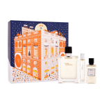 Hermes Terre d'Hermes Eau de Toilette seatud meestele (Edt 100 ml + Shower Gel 40 ml + Edt 15 ml)