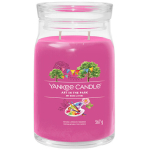 Yankee Candle Art In The Park l&otilde;hnak&uuml;&uuml;nal, 567 g