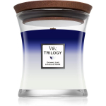 Woodwick Trilogy Evening Luxe l&otilde;hnak&uuml;&uuml;nal, 275 g