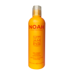 Noah Vitamins Lightweight Revitalizing Conditioner Tugevdav palsam C-vitamiiniga, 250 ml