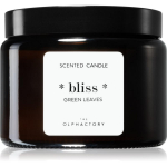 The Olphactory Bliss Green Leaves Green Leaves Scented Candle, 360 g