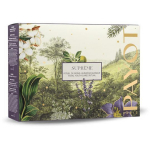 Payot Coffret Supr&ecirc;me n&auml;ohoolduskomplekt (n&auml;okreem, 50 ml + silmakreem, 15 ml + massaažikivi)