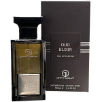 Grandeur Oud Elixir EDP l&otilde;hnastatud vesi unisex, 100 ml