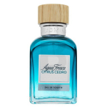 Adolfo Dominguez Agua Fresca Citrus Cedro EDT tualettvesi meestele, 120 ml
