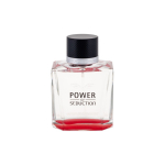 Antonio Banderas Power of Seduction EDT tualettvesi meestele, 100 ml