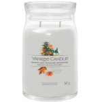 Yankee Candle Woodland Weekend Memories l&otilde;hnak&uuml;&uuml;nal, 567 g