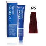 Inebrya Bionic Color professionaalne juuksev&auml;rv, toon: 6/5 Tumeblond Mahagon, 100 ml