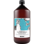 Davines NATURALTECH heaolu &scaron;ampoon, 1000 ml