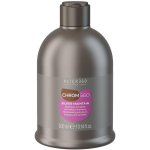 Alter Ego ChromeEgo Silver Maintain Anti-yellow Shampoo &scaron;ampoon kollasuse vastu, 300 ml