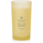 Chesapeake'i lahe j&otilde;u ja energia ananassi ja kookose l&otilde;hnaga k&uuml;&uuml;nal, 355 g