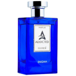 Hamidi Addicted Enigma PP parf&uuml;&uuml;m meestele, 120 ml