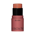 Diego Dalla Palma All In One Blush Stick 42 Salmon, 4 g