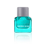 Hollister Canyon Rush EDT tualettvesi meestele, 30 ml