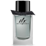 Burberry Mr. Burberry EDT tualettvesi meestele, 100 ml