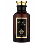 House Of Perfumes Oud Black EDP l&otilde;hnastatud vesi unisex, 100 ml
