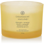 Chesapeake'i lahe j&otilde;u ja energia ananassi ja kookose l&otilde;hnaga k&uuml;&uuml;nal, 312 g