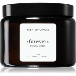 The Olphactory Forever Citrus & Shades Scented Candle, 360 g