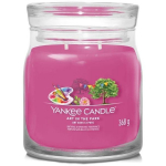 Yankee Candle Art In The Park l&otilde;hnak&uuml;&uuml;nal, 368 g