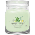 Yankee Candle Cucumber Mint Cooler l&otilde;hnak&uuml;&uuml;nal, 368 g