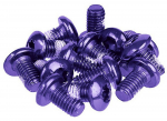 Piduriketta poldid Prox purple M5x10mm (12pcs.)