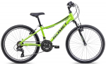 Jalgratas Romet Rambler 24 2025 green-graphite