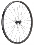 Esijooks NEWMEN Phase Carbon 30 light 29" 28H SP 6-bolt 15x110