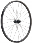 Tagajooks NEWMEN Phase Carbon 30 light 29" 28H SP 6-bolt 12x148 MicroSpline