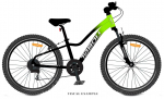 Jalgratas Tabou Poison 20 green-black