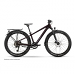 Jalgratas Raymon Nayta 26 Pro Street 2026 floridplum