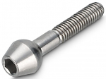 Sadulahoidiku polt NEWMEN Hex Titanium M6x30 TL10.5