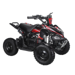 Swoop elektriline ATV Adventurer 1000W