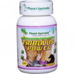 Planet Ayverda Tribulus Power Capsules &ndash; Gokshura
