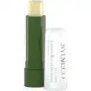 Sylveco Birch Rescue Lip Balm with Betulin 4.4 g