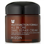 Mizon Multi Function Formula All In One Snail Repair Cream 75ml
