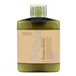 Dancoly Angel En Provence Eucalyptus Shampoo (Oily and dandruff hair) 300ml